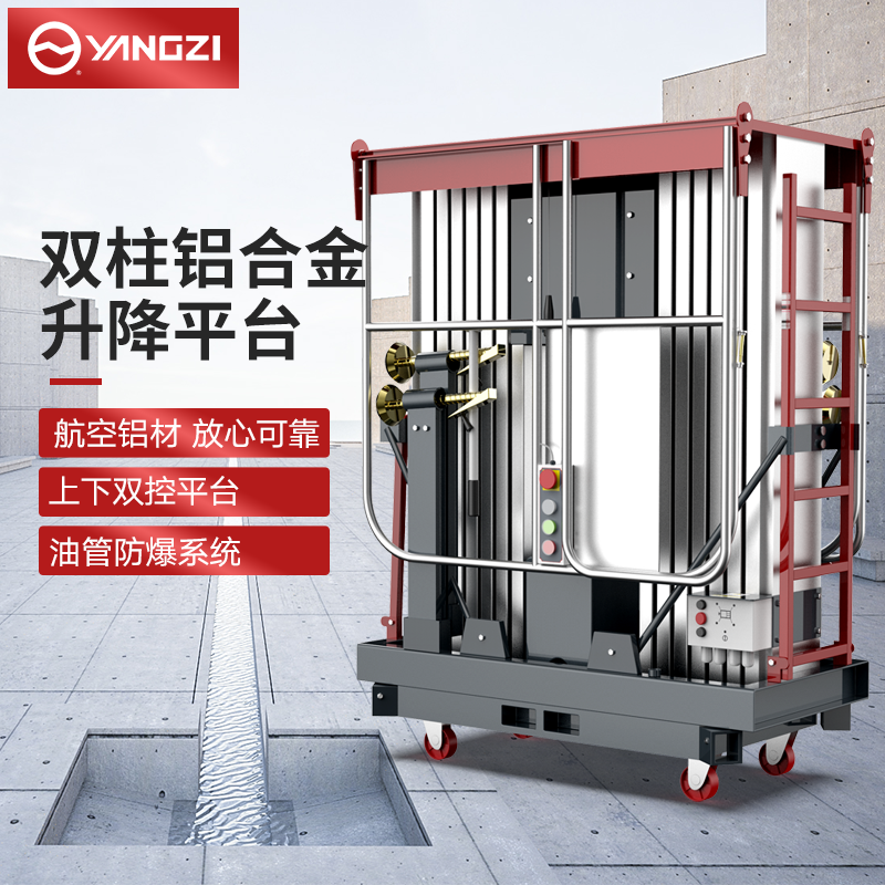 揚(yáng)子升降機(jī)YZGS 雙柱鋁合金升降平臺(tái)